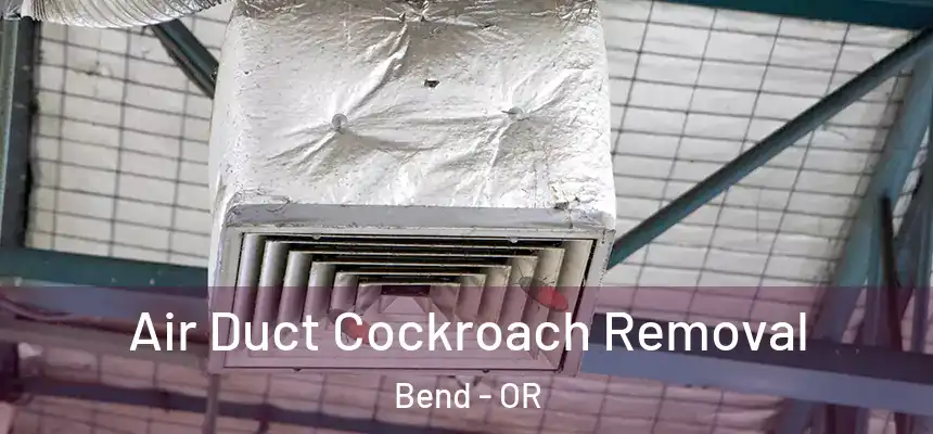Air Duct Cockroach Removal Bend - OR