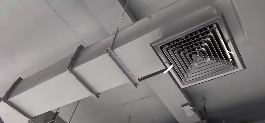 Our Pest Removal From Ducts Services in Bend, OR