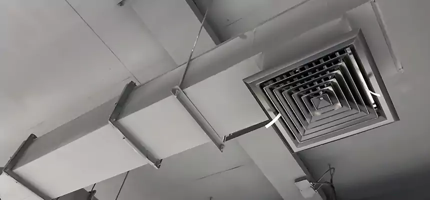 Our Rodent Droppings In Vents Services in Bend, OR