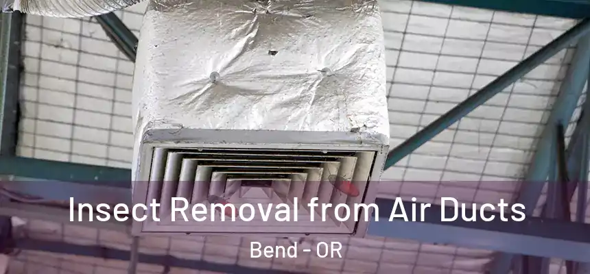 Insect Removal from Air Ducts Bend - OR