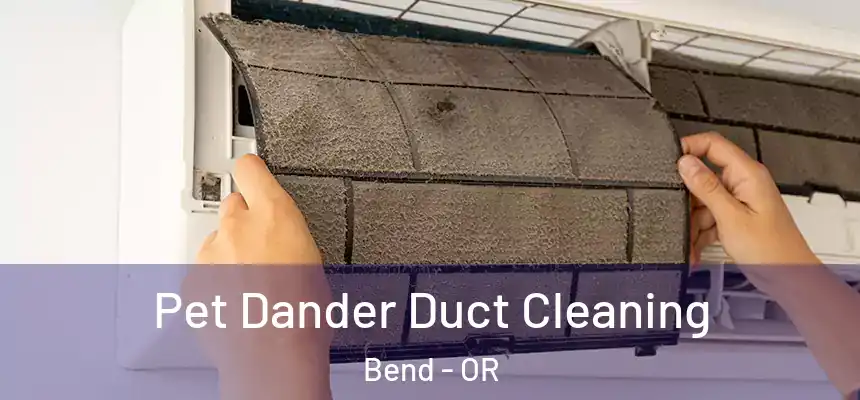 Pet Dander Duct Cleaning Bend - OR