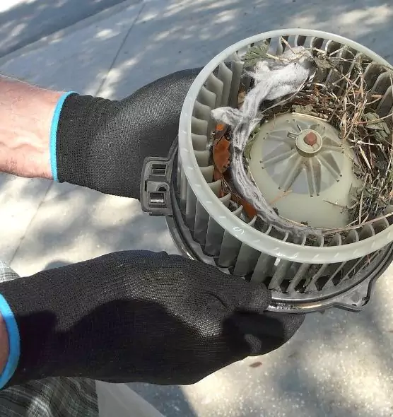 About Air Duct Rat Removal in Bend, OR