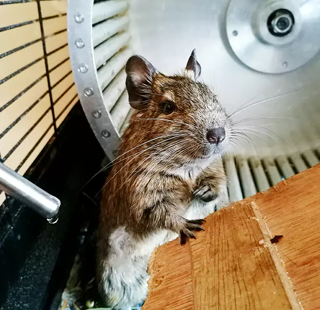 Why Homeowners & Businesses Trust Us Bend, OR